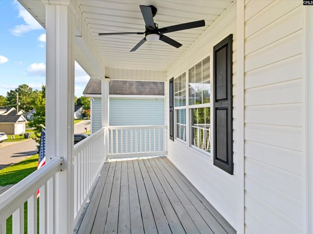 117 Peregrine Court, Chapin, SC 29036