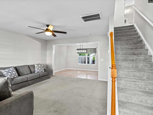 117 Peregrine Court, Chapin, SC 29036