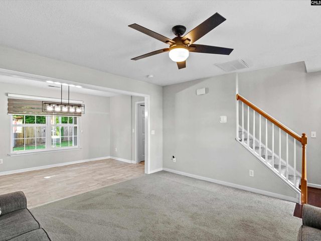 117 Peregrine Court, Chapin, SC 29036