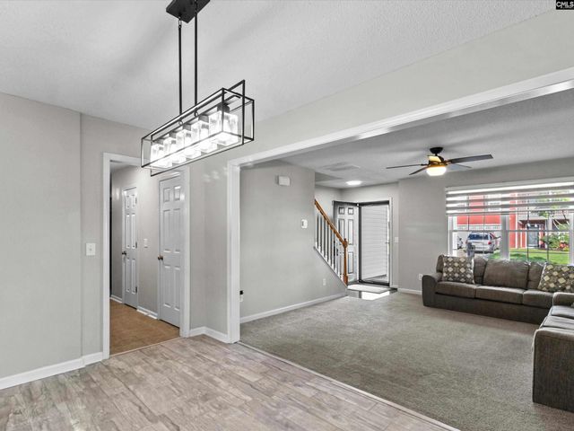 117 Peregrine Court, Chapin, SC 29036