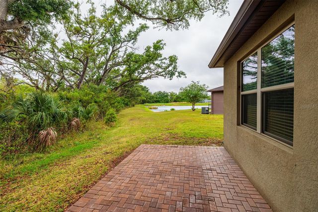 6408 YELLOW BUCKEYE DRIVE, Riverview, FL 33578