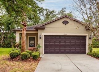 6408 YELLOW BUCKEYE DRIVE, Riverview, FL 33578