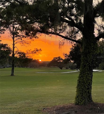 17070 SE 91ST LEE AVENUE, The Villages, FL 32162