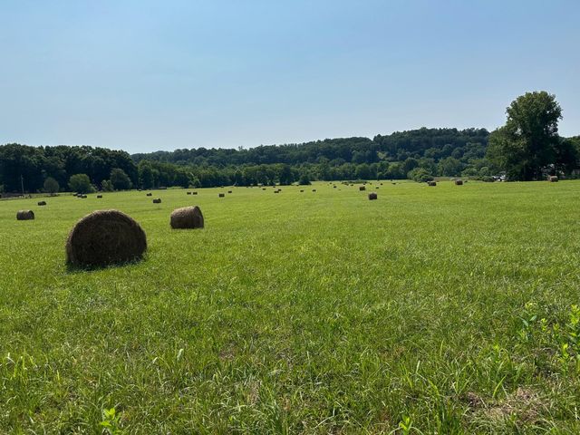 0 Hensley Wilson Lane, Evensville, TN 37332
