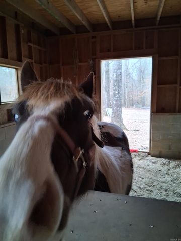 4035 Meadow Creek, Royal, AR 71968