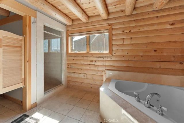 42133 Brownie, Big Bear Lake, CA 92315