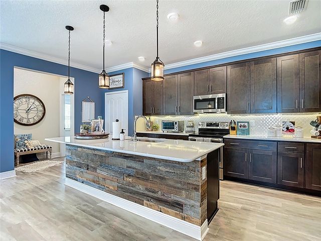 30980 JAZZ LEAF PLACE, San Antonio, FL 33576