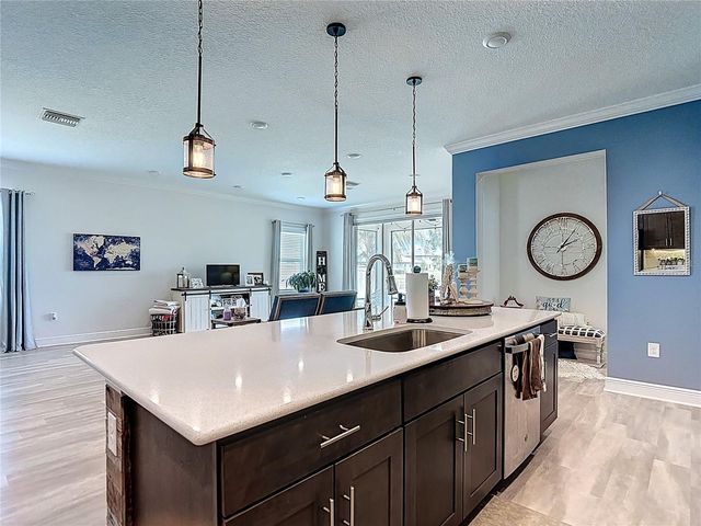 30980 JAZZ LEAF PLACE, San Antonio, FL 33576