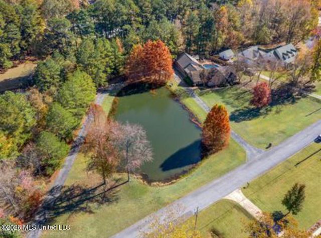 6760 Autumn Oaks Drive, Olive Branch, MS 38654