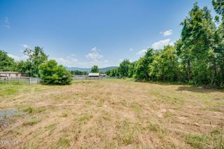 165 George Bowers Road, Elizabethton, TN 37643