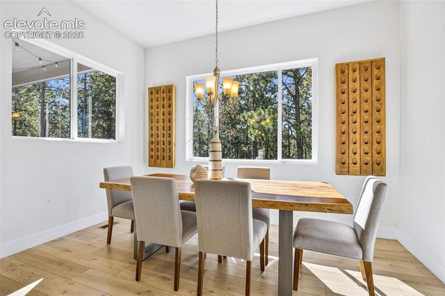 933 Tree Bark Terrace, Monument, CO 80132