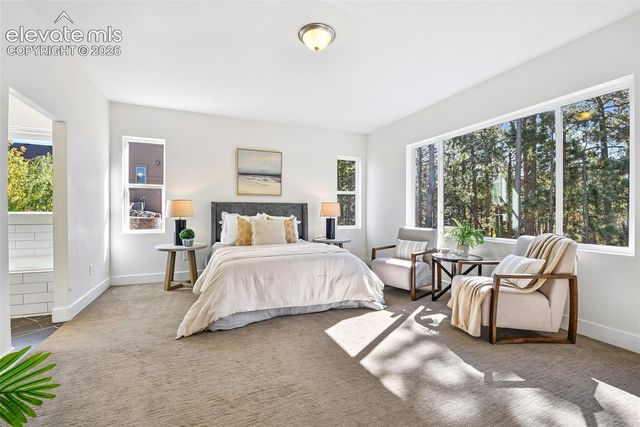 933 Tree Bark Terrace, Monument, CO 80132