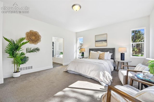 933 Tree Bark Terrace, Monument, CO 80132