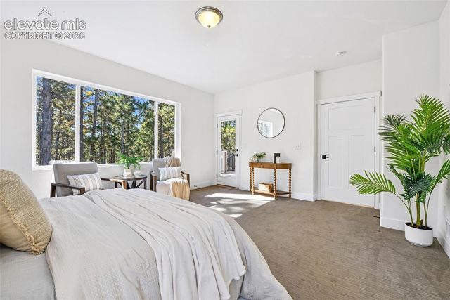 933 Tree Bark Terrace, Monument, CO 80132