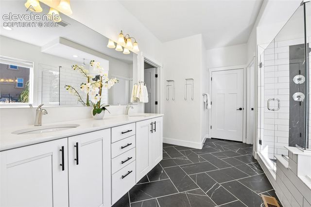 933 Tree Bark Terrace, Monument, CO 80132