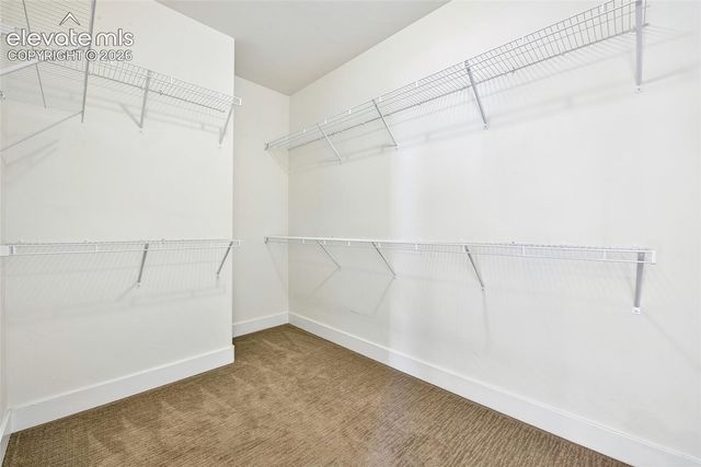 933 Tree Bark Terrace, Monument, CO 80132