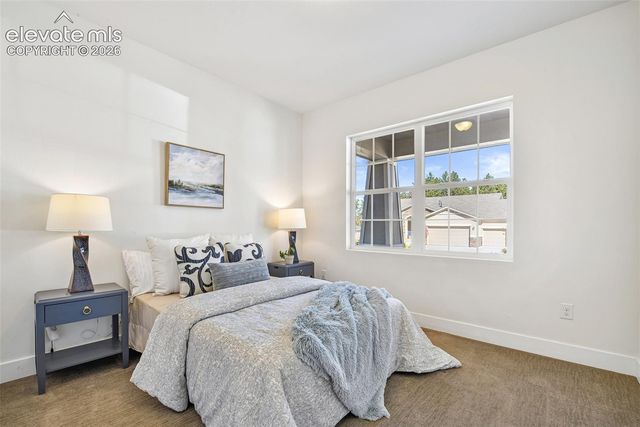 933 Tree Bark Terrace, Monument, CO 80132