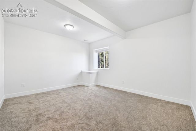 933 Tree Bark Terrace, Monument, CO 80132