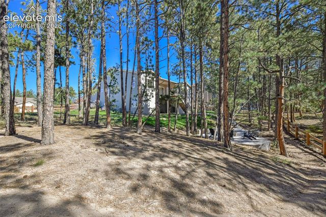 933 Tree Bark Terrace, Monument, CO 80132