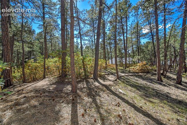 933 Tree Bark Terrace, Monument, CO 80132