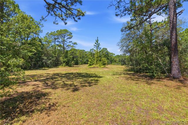 4708 S Evergreen Avenue, Homosassa, FL 34446