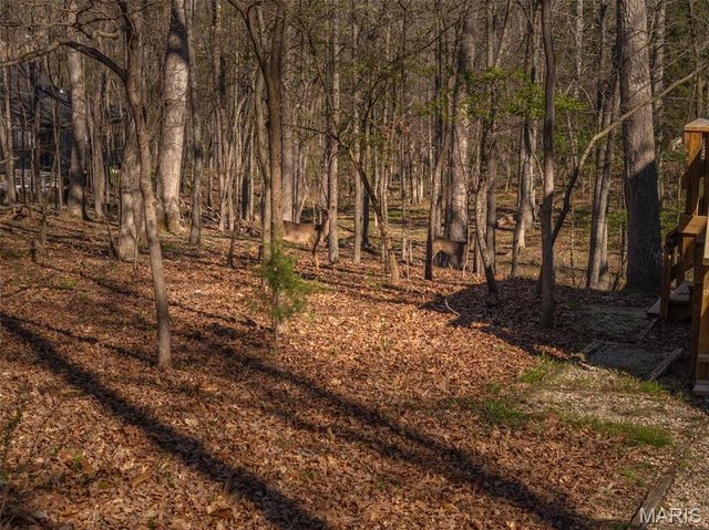 1126 Mitten Ridge Drive, Innsbrook, MO 63390