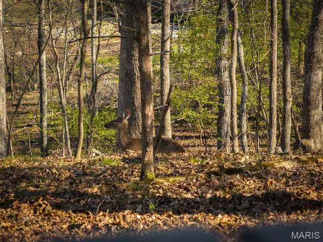 1126 Mitten Ridge Drive, Innsbrook, MO 63390