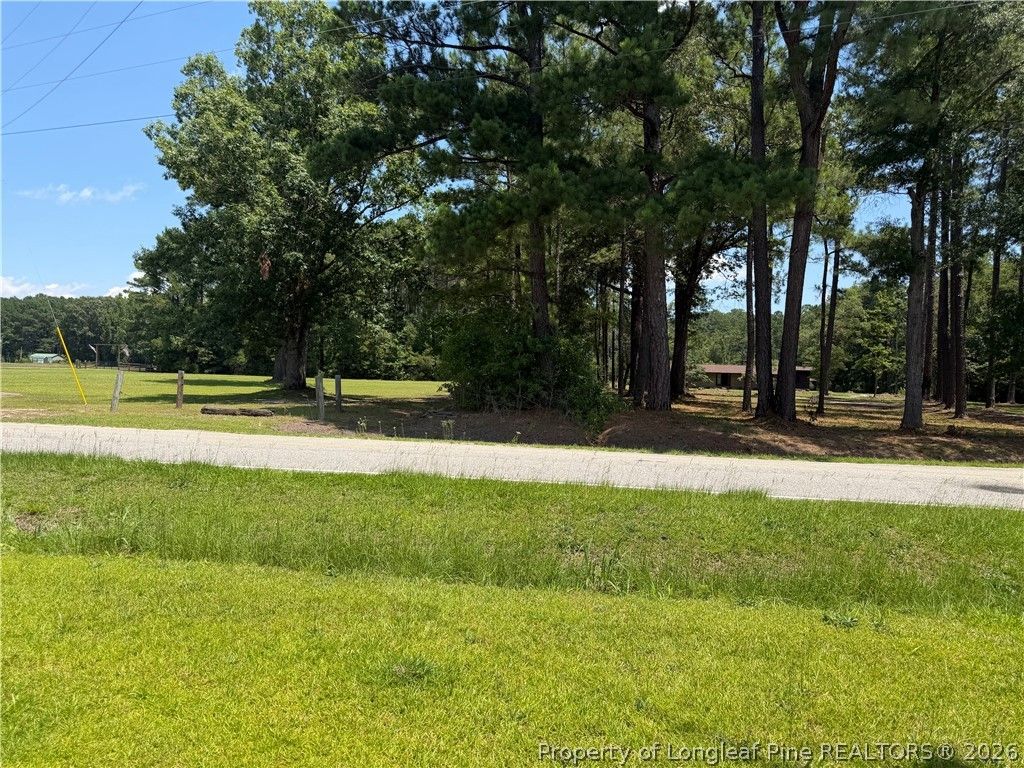 156 Howell Road, St Pauls, NC 28384 — photo 2