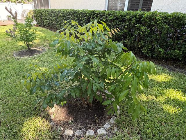 13006 SUNKISS LOOP, Windermere, FL 34786