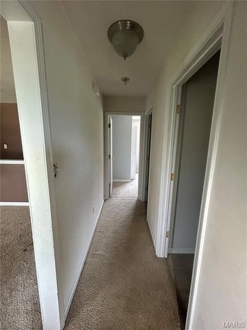 1149 Riverwoods Drive, Desloge, MO 63628