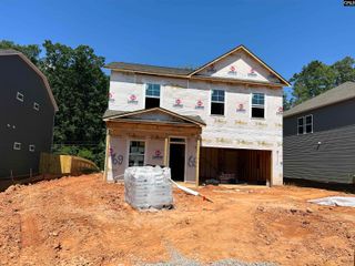 1077 Flat Coat Lane, Chapin, SC 29036