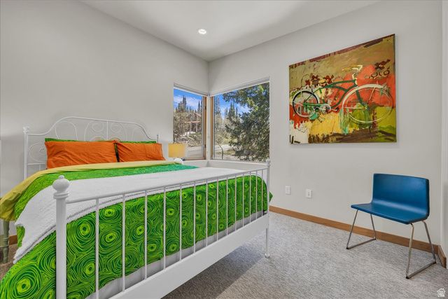 11436 E BIG COTTONWOOD CANYON RD, Brighton, UT 84121