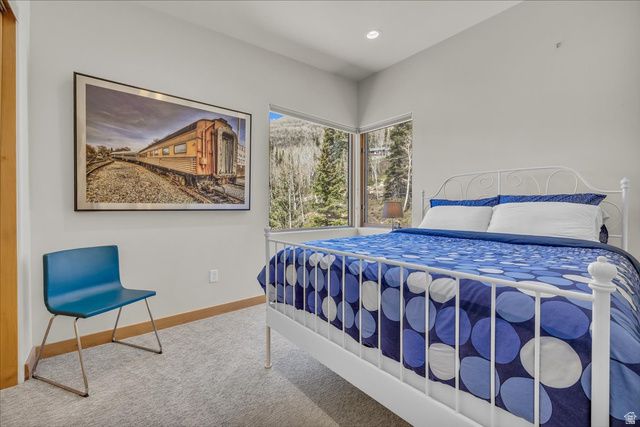 11436 E BIG COTTONWOOD CANYON RD, Brighton, UT 84121