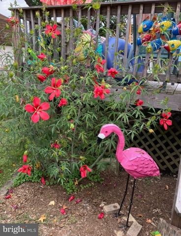 3210 CHESLEY AVE, Baltimore, MD 21234