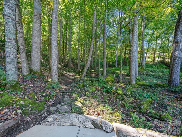81 Summer Trees Lane, Burnsville, NC 28714