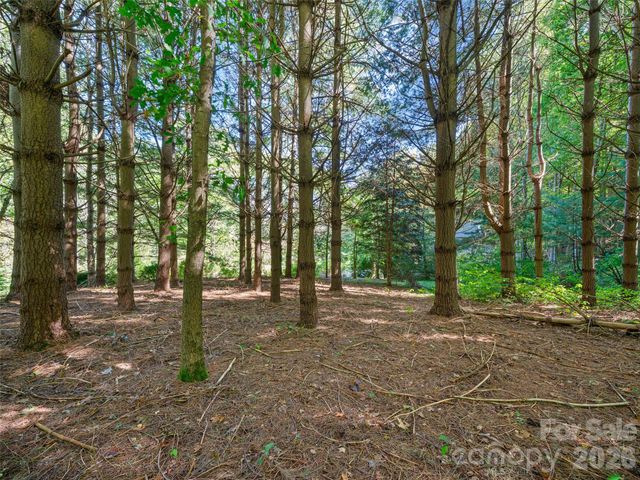 81 Summer Trees Lane, Burnsville, NC 28714