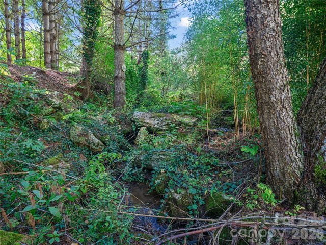 81 Summer Trees Lane, Burnsville, NC 28714