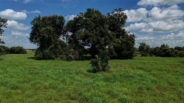 3619 Tankersley Circle, Rosharon, TX 77515