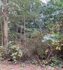 46 a Snohomish Way, Hat Island, WA 98206
