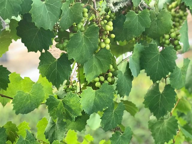 19600 E STATE ROAD 64, Bradenton, FL 34212