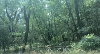 No Address Imperial DR, Austin, TX 78725