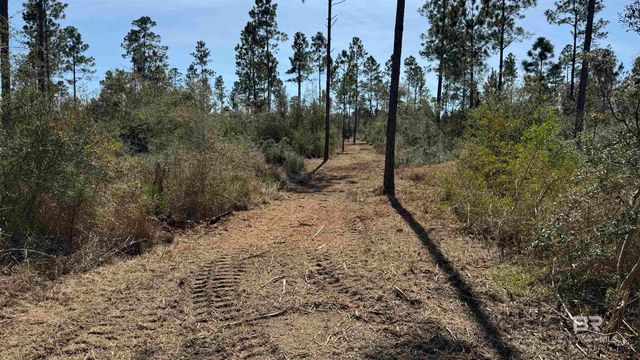 0 Archie Road, Elberta, AL 36530