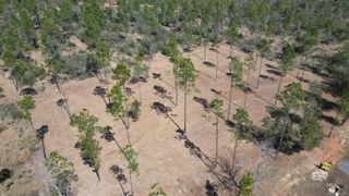 0 Archie Road, Elberta, AL 36530