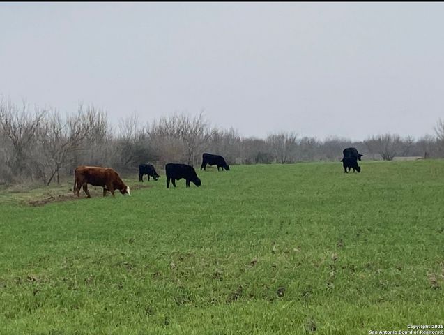 0 Applewhite Road, San Antonio, TX 78264