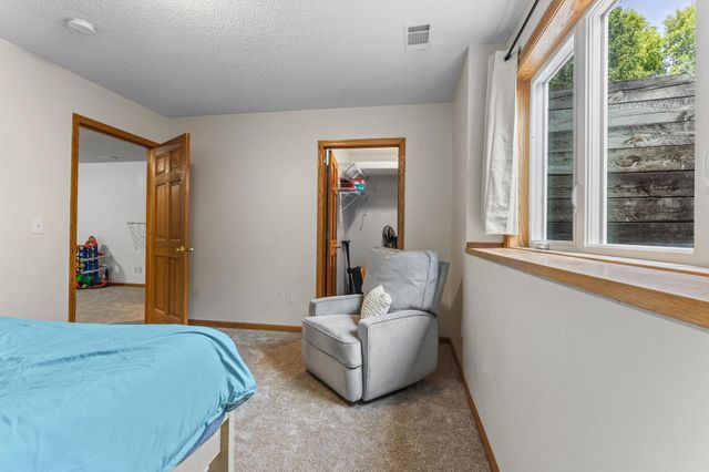 1132 Falls Circle, Chaska, MN 55318
