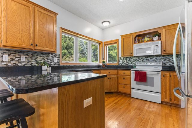 1132 Falls Circle, Chaska, MN 55318