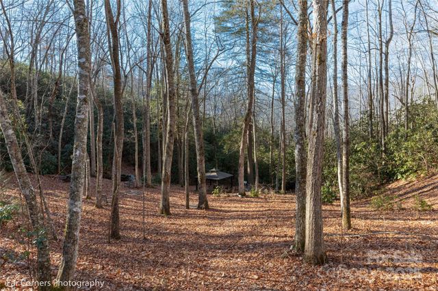 9999 Sourwood Road, Canton, NC 28716