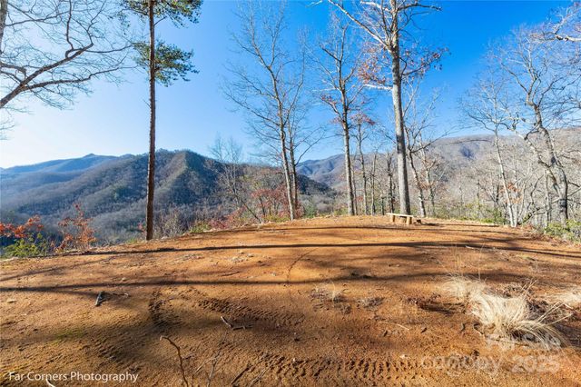 9999 Sourwood Road, Canton, NC 28716