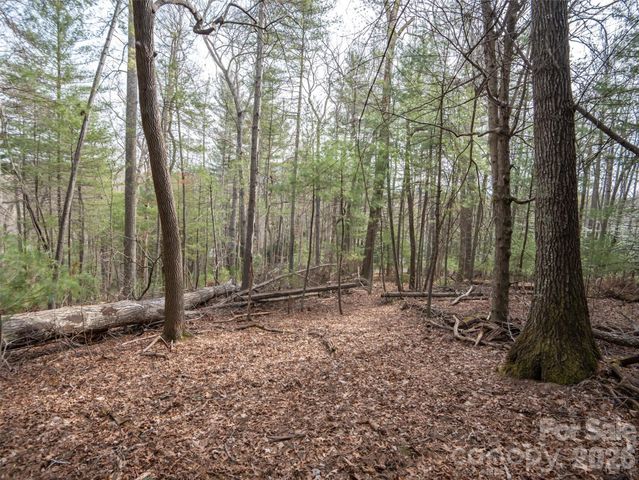 9999 Cedar Hill Drive 12, Asheville, NC 28803