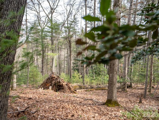 9999 Cedar Hill Drive 12, Asheville, NC 28803